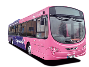 Tigermoth bus